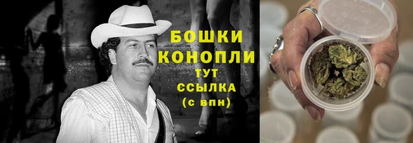 стаф Богородск