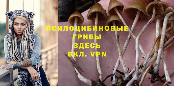 стаф Богородск
