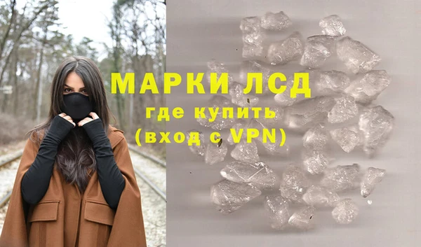 стаф Богородск