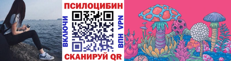 наркота  Дудинка  Псилоцибиновые грибы ЛСД 