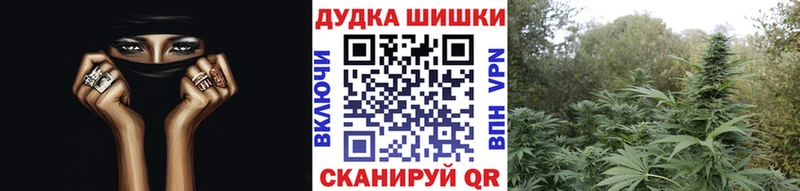 что такое Дудинка Шишки марихуана гибрид